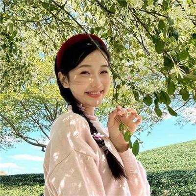 我的小狮王